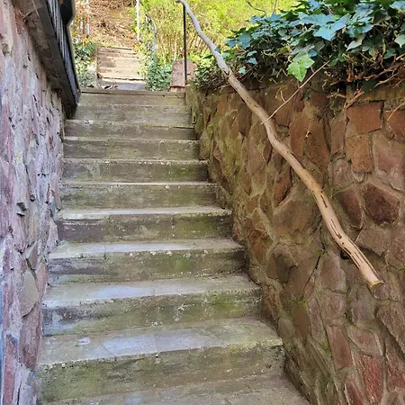 Rasselbock Ferienhaus Waltershausen